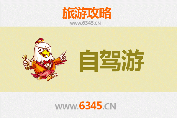 枣庄台儿庄古城自驾游全攻略：历史与文化的深度体验
