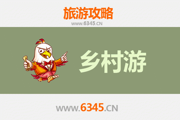 枣庄台儿庄乡村旅游精品线路推荐：古城风情与田园野趣的完美融合